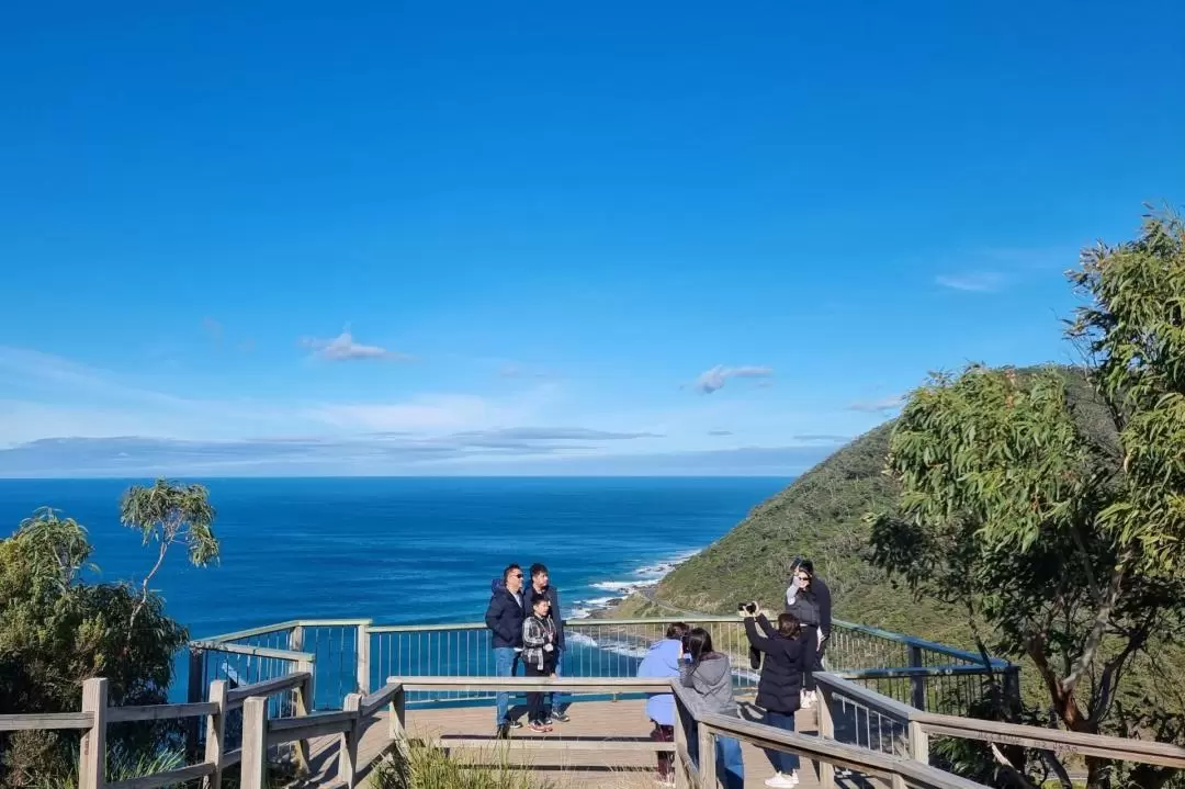 Great Ocean Road and 12 Apostles Private Day Tour