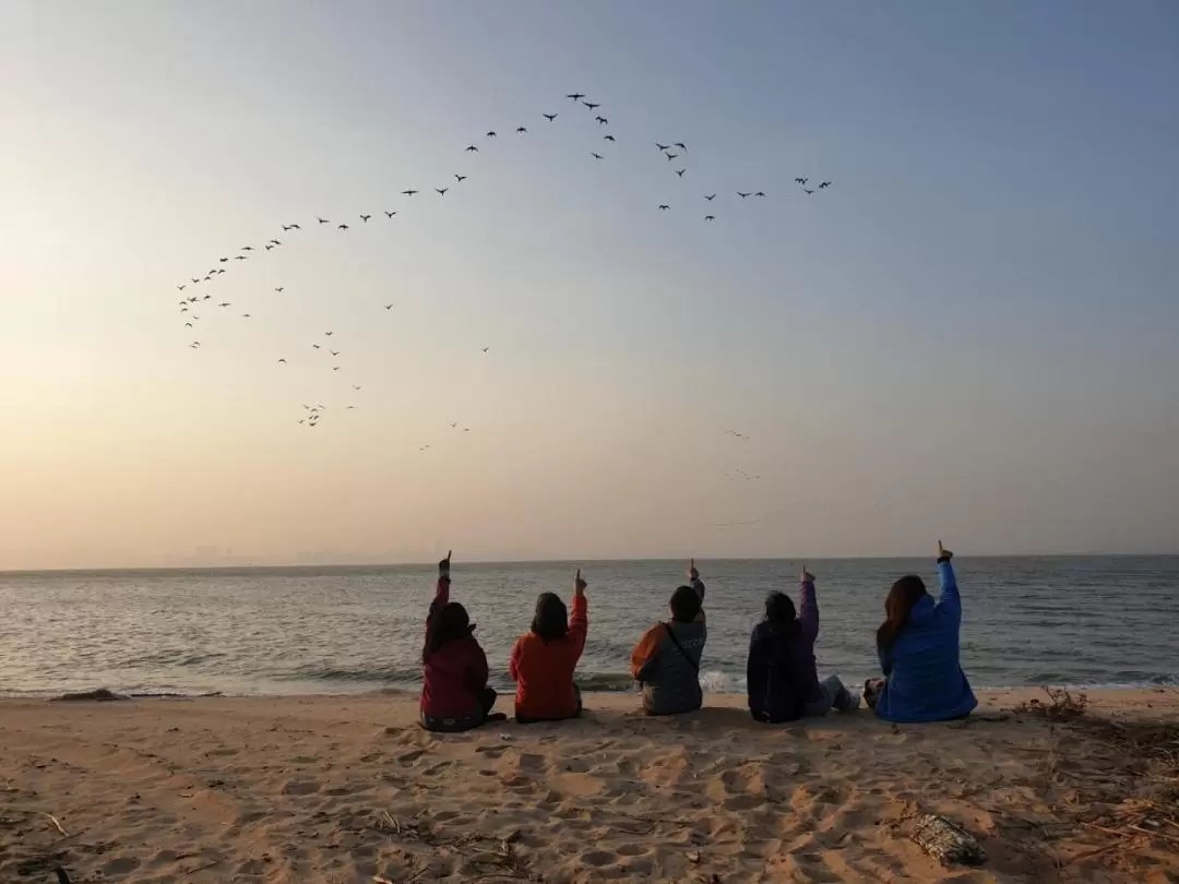 Kinmen Guning Oyster Farmer Experience