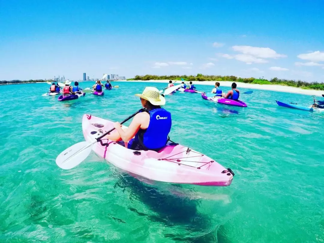 Dolphin Kayaking & Snorkeling Guided Tour in Gold Coast