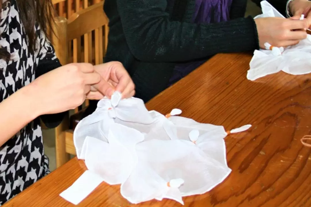 Handkerchief Plant Dyeing Workshop in Kagoshima