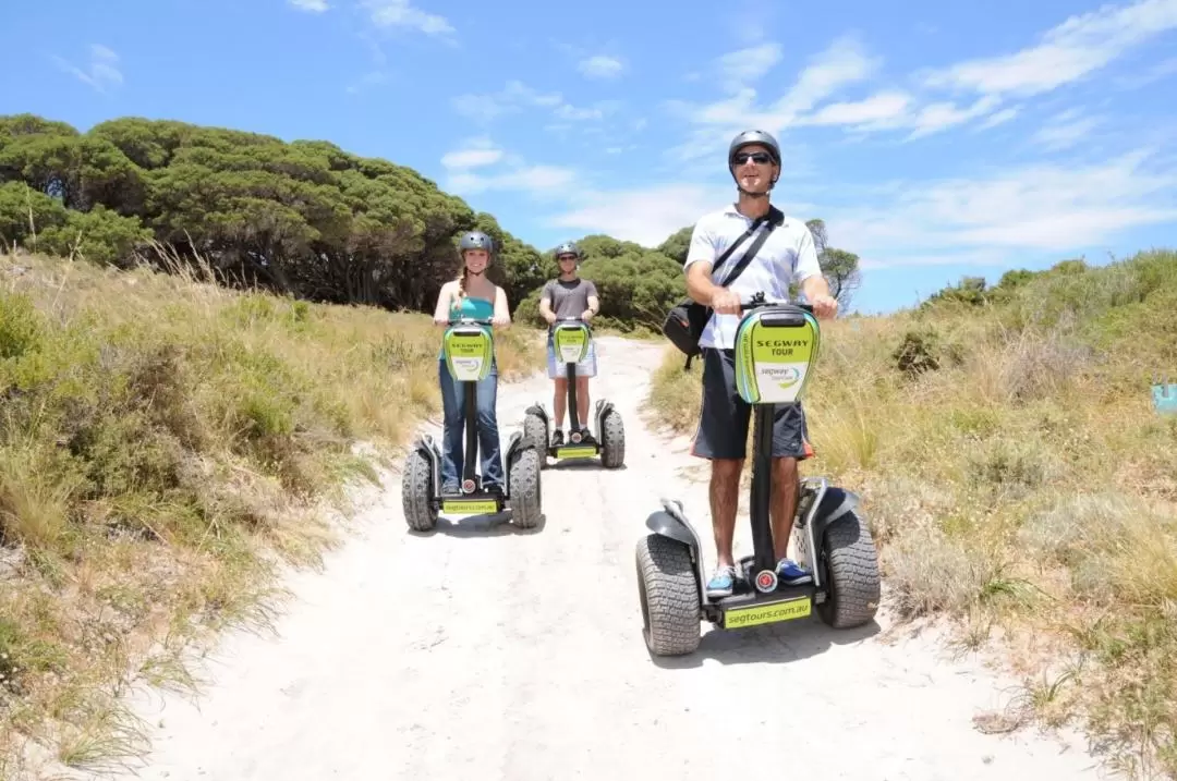 Rottnest Island Segway Guided Tour from Perth