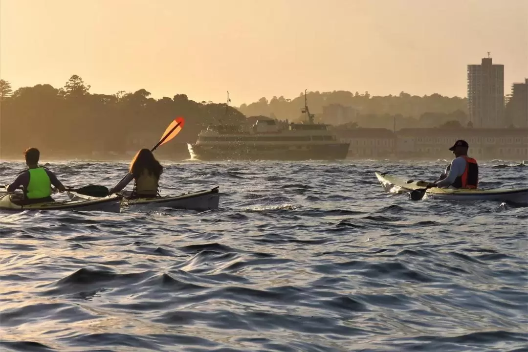 Sydney Harbour Guided Kayak 'BREAKFAST' Tour