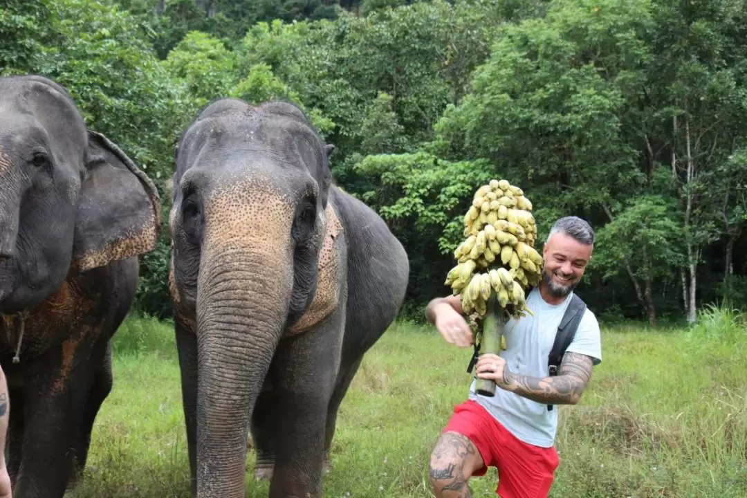 The Elephant Sanctuary Krabi Experience with Transfer