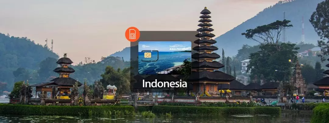 インドネシア データ容量無制限 4G SIMカード（ベトナム宅配受取）