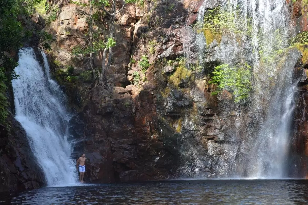 Litchfield Small Group Day Tour from Darwin