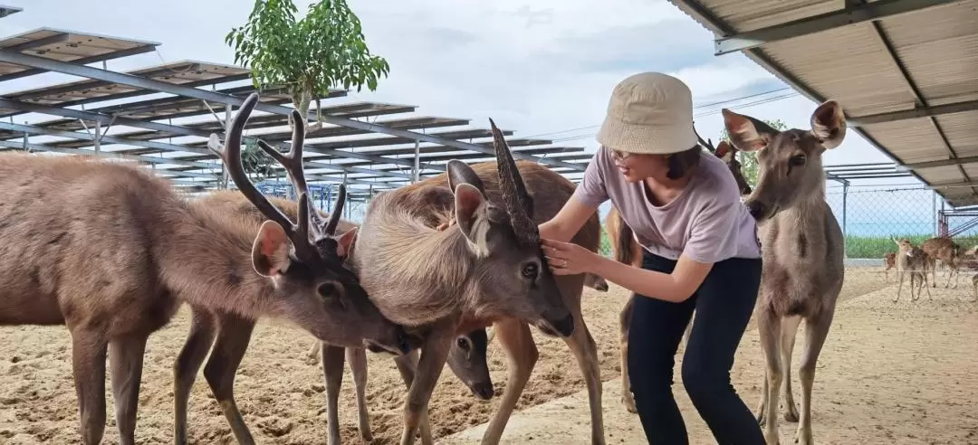 ティエンティエンファーム＆動物園 入園チケット（ファンラン）