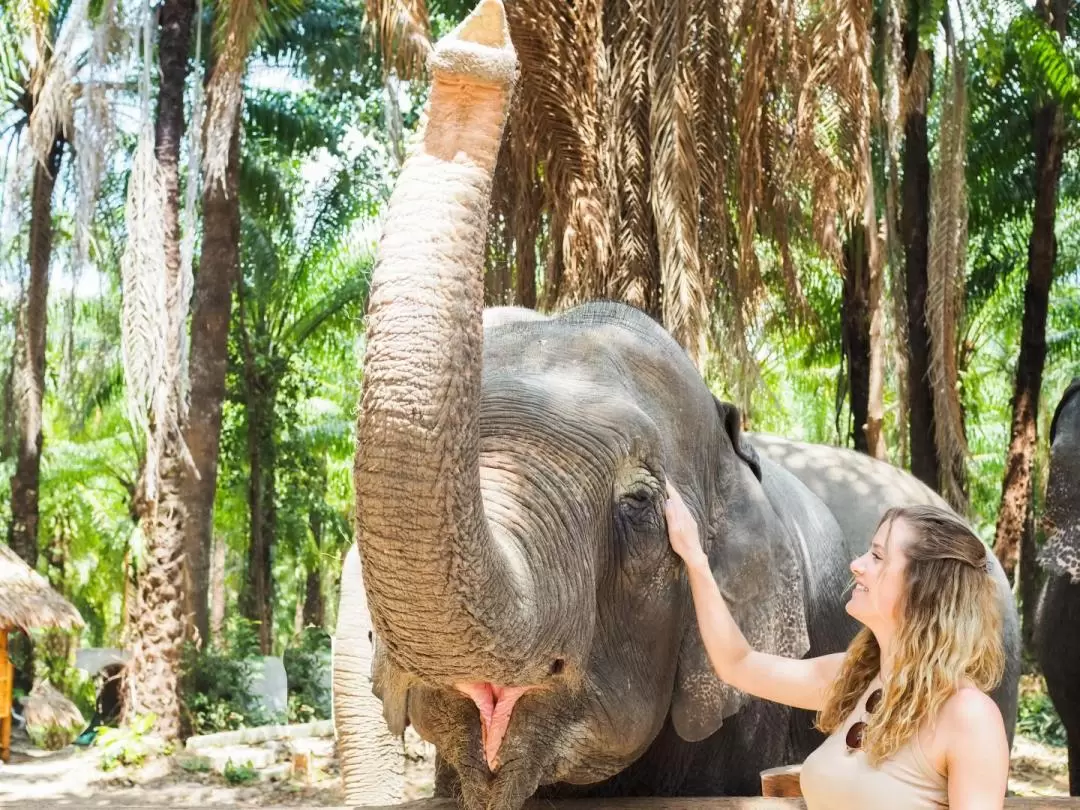 甲米大象保護區（Krabi Elephant Shelter）體驗