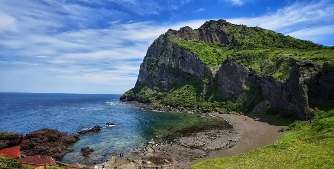 済州島 貸切チャーター（ドライバー付き）