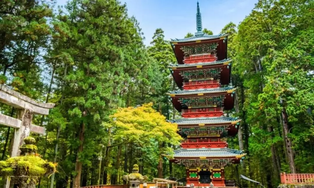 Nikko Toshogu Shrine & Ashikaga Flower Park Illumination Day Tour