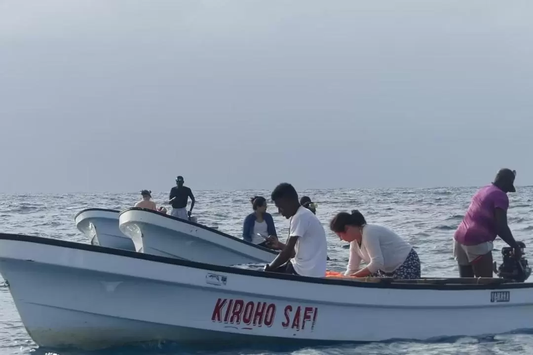 ジョザニ森林国立公園・イルカふれあいツアー（ザンジバル）