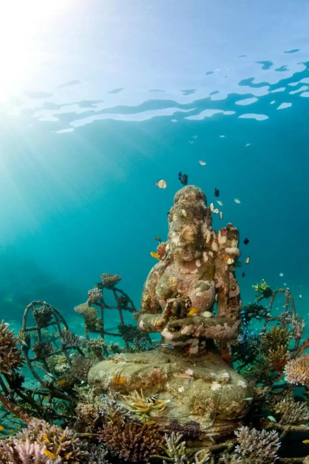 ビオロックペムテラン ディスカバースキューバダイビング体験（バリ / Bali Diving Academy提供）