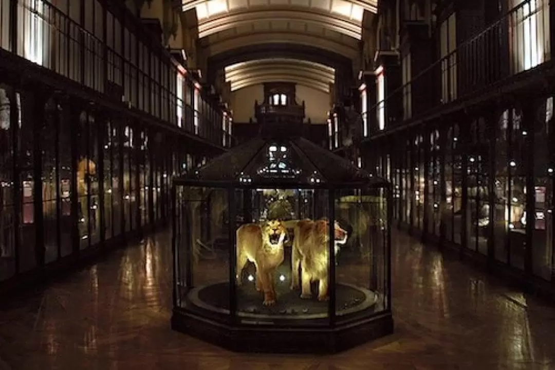 Grande Galerie de l'Évolution Skip-the-Line Admission in Paris