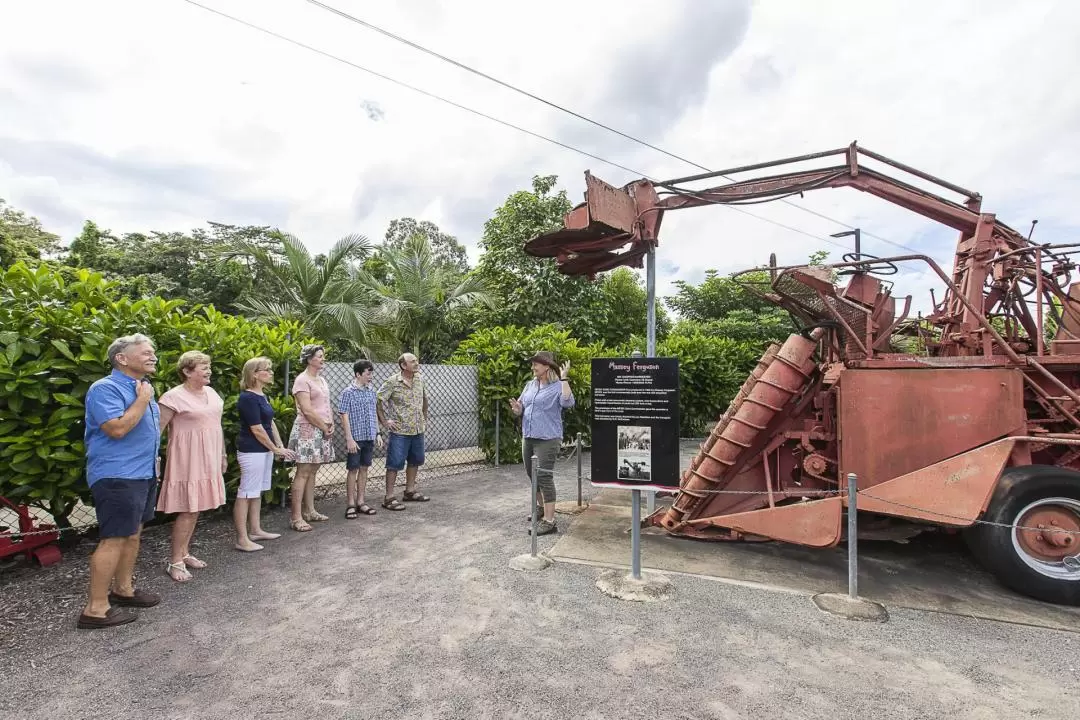 1-Hour Sarina Sugar Shed Cane Experience 