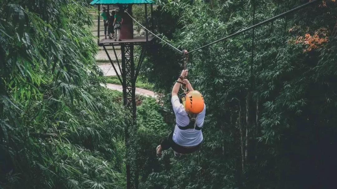 ジップライン体験（チェンマイ / Mea Wang Zipline Adventure提供）