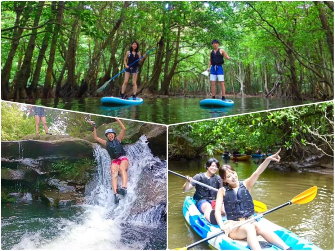 Iriomote Island Splash Canyoning and SUP or Canoe at Mangrove Forest 