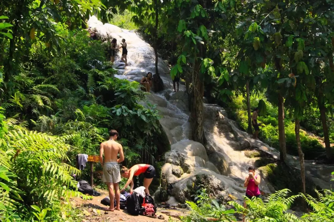 Sticky Waterfall Climbing Adventure in Chiang Mai