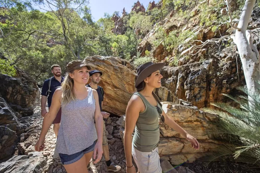 West MacDonnell Ranges & Standley Chasm Day Tour from Alice Springs