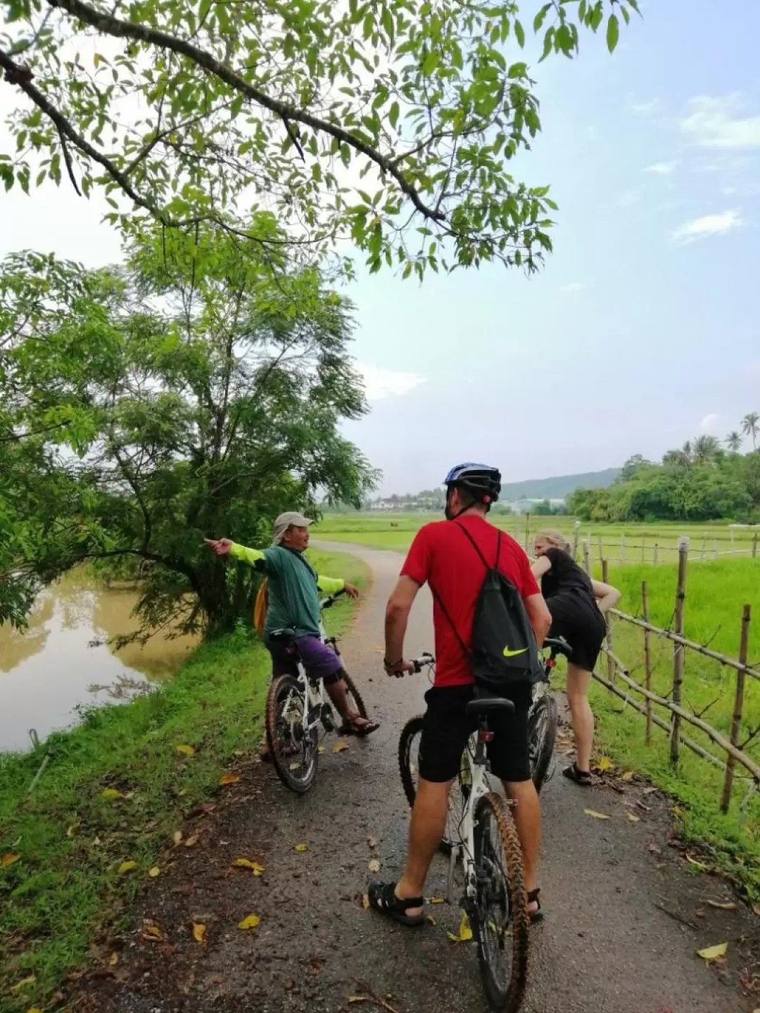 Nature Cycling Experience with Transfers in Langkawi