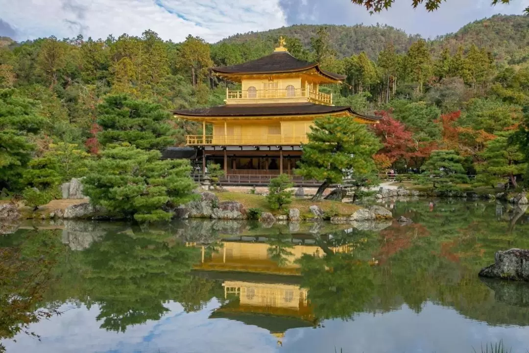 Kyoto and Nara Day Tour from Osaka/Kyoto