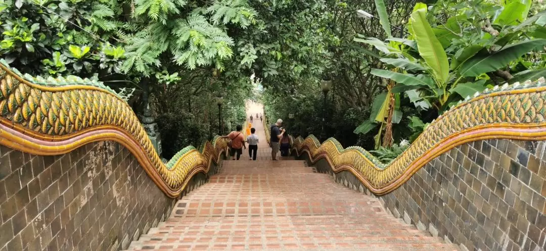 Chiang Mai Doi Suthep & Chiang Mai University Half Day Tour