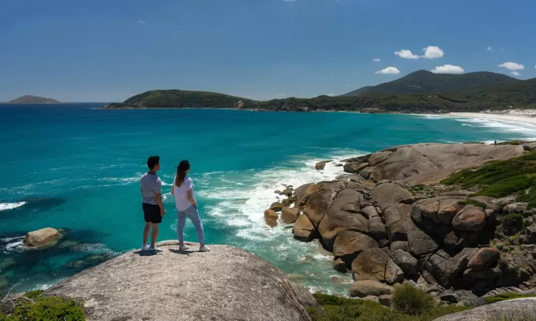 Wilsons Promontory National Park Guided Day Tour from Melbourne