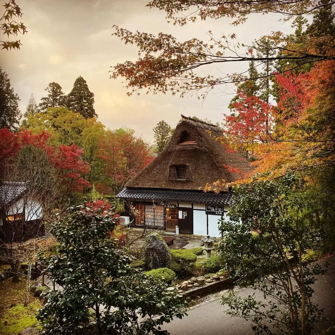 小松市湯國之森門票