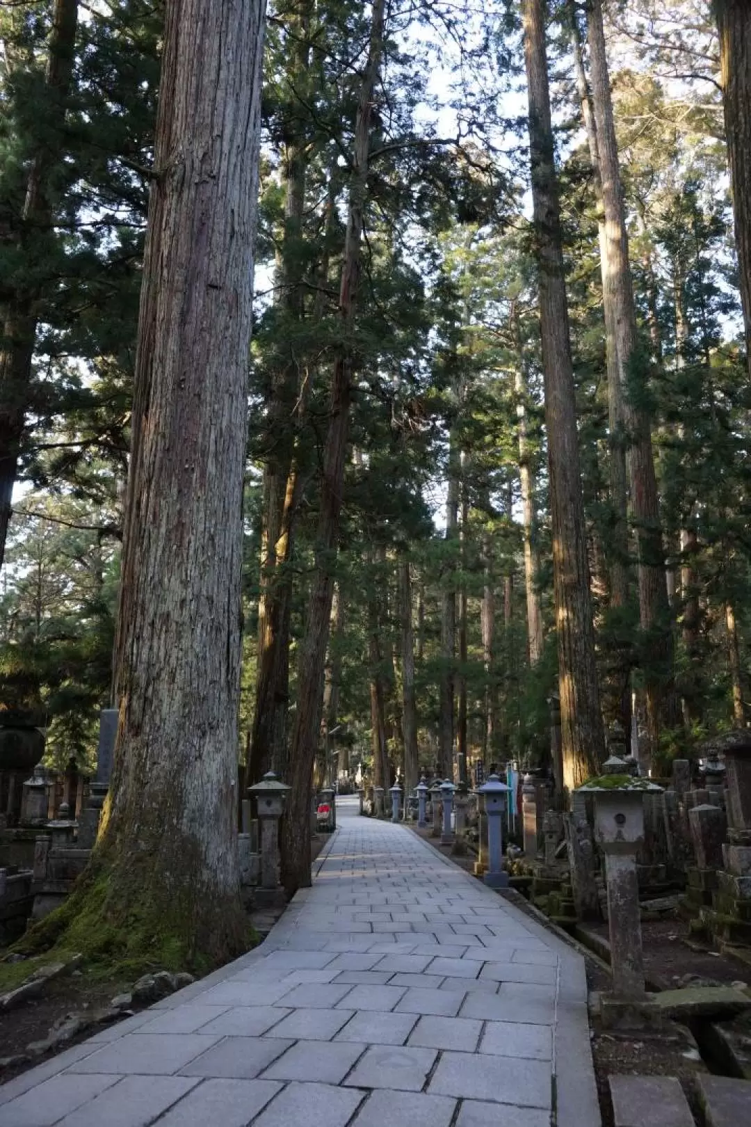 Mt. Koya One Day Heritage Tour from Osaka with Buddhist Lunch