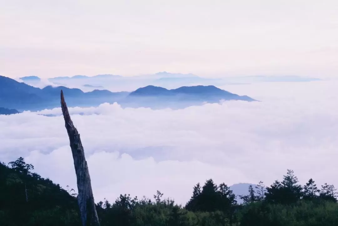 Dasyueshan National Forest Recreation Area Ticket in Taichung