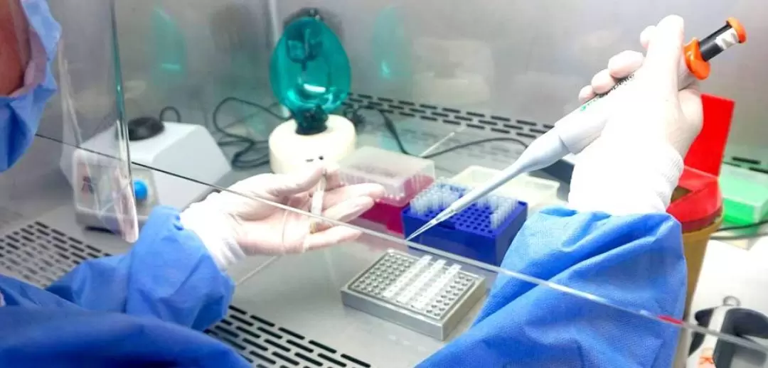 【當日取報告】伊斯坦堡COVID-19 PCR檢測