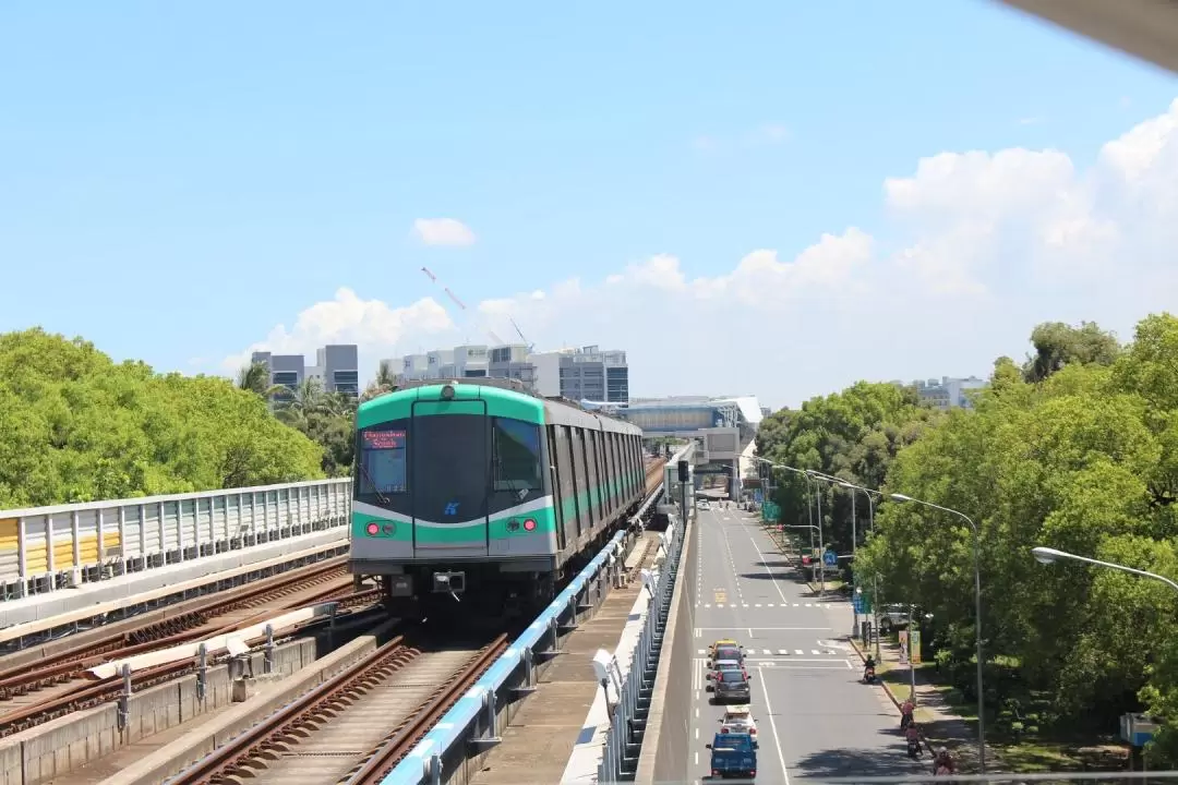  Kaohsiung Metro (MRT) Unlimited Travel Pass