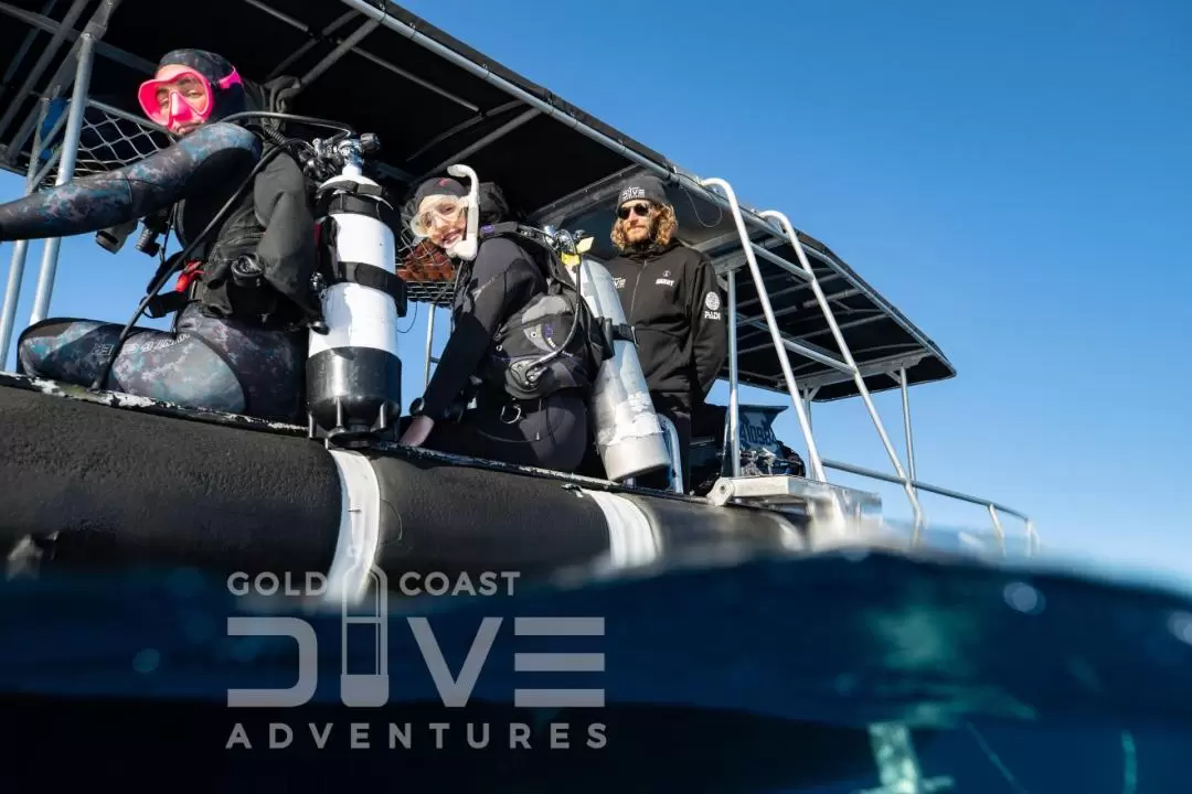 Wonder Reef Diving Experience in Gold Coast