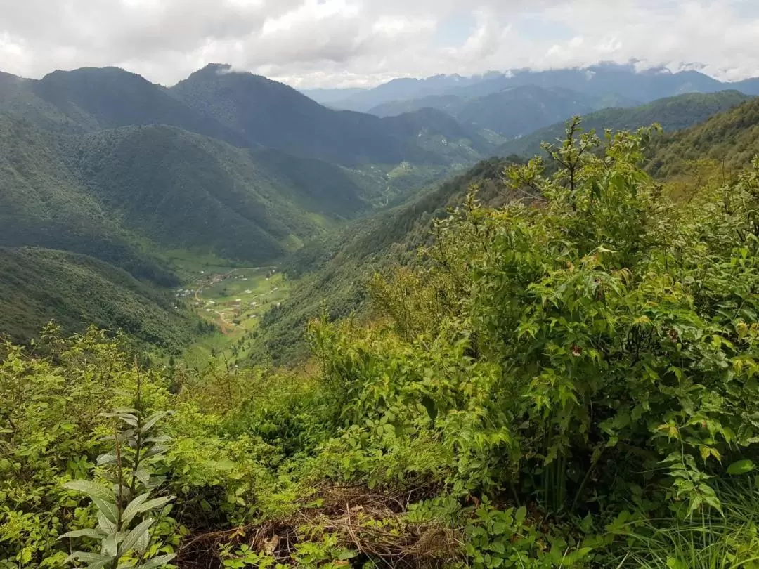 钱德拉吉里哈迪班（Chandragiri Hattiban）登山健行一日游（含缆车体验）