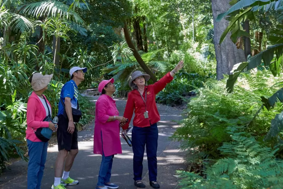 墨爾本皇家植物園免費徒步導覽