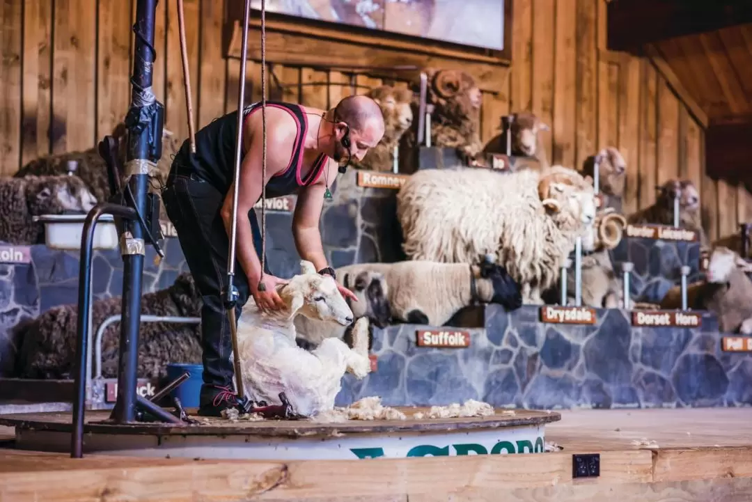 Agrodome Farm Show and Tour Ticket in Rotorua