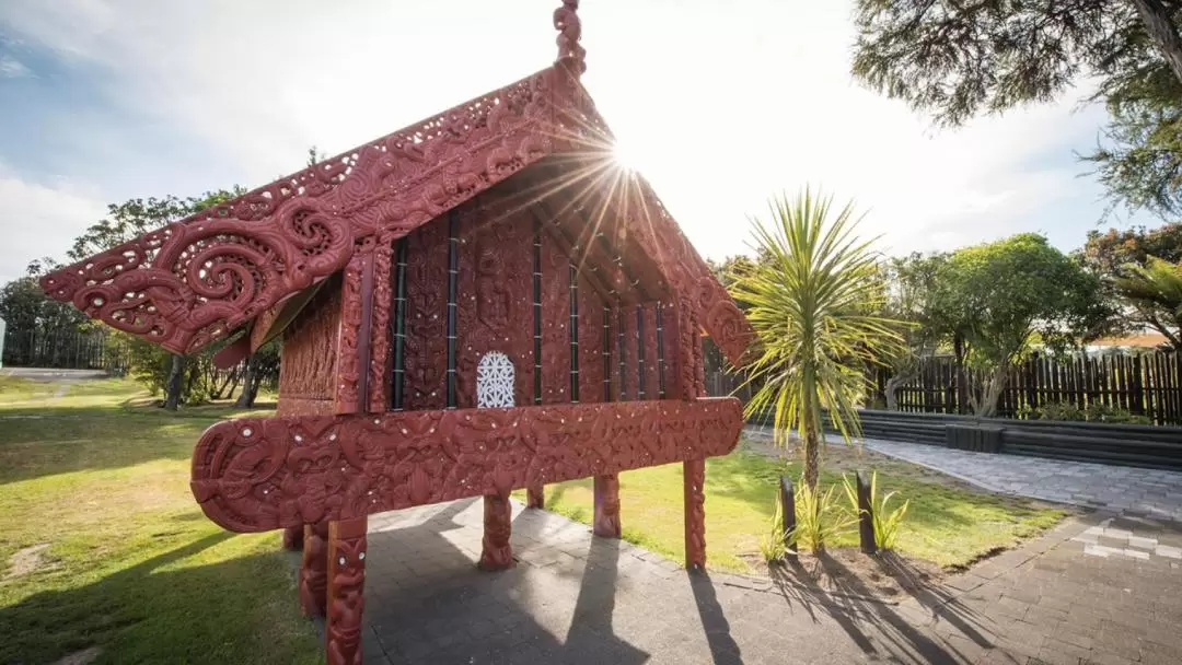 Rotorua Day Tour from Auckland