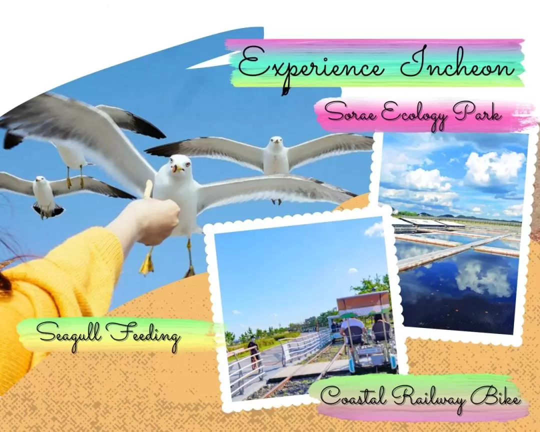 Incheon Cherry Blossom Festival & Chinatown & Seaside Rail bike Tour