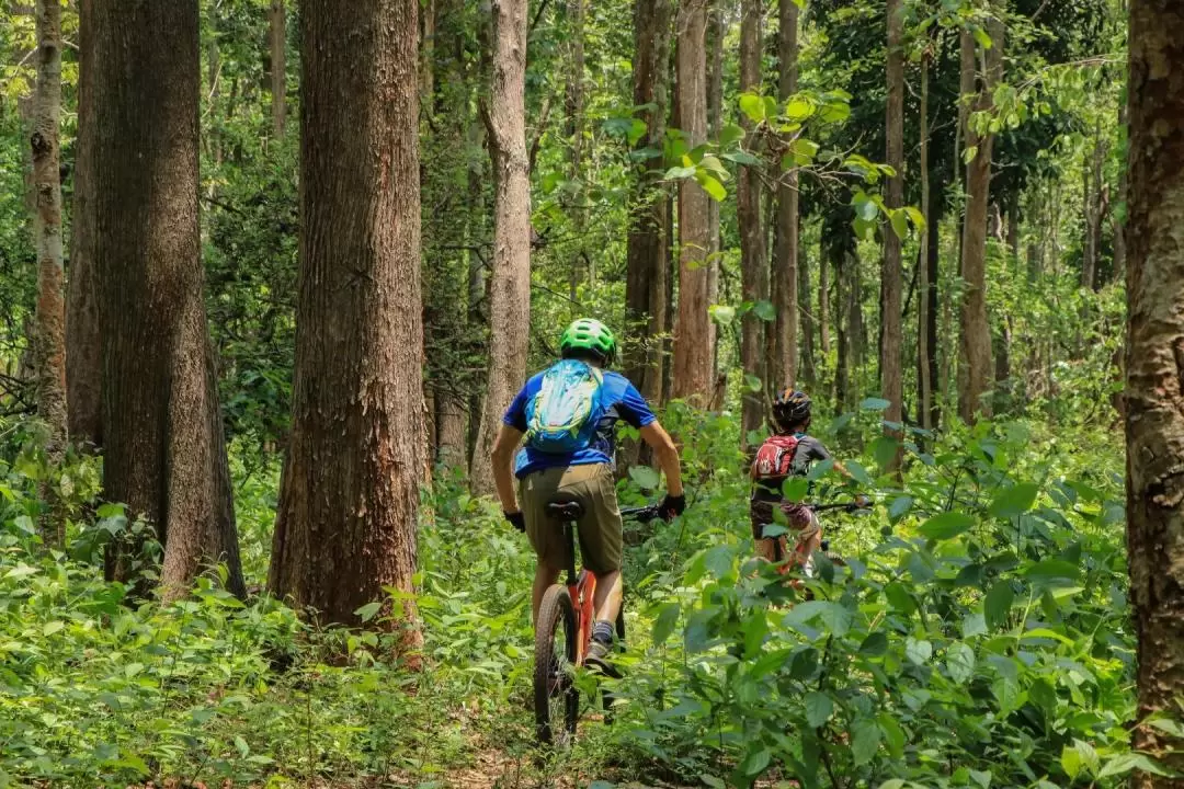 スティッキー滝 サイクリングツアー（チェンマイ / Trailhead提供）