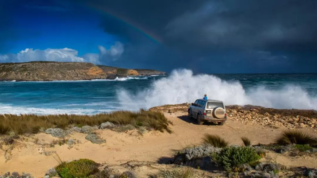 Port Lincoln Food and Wine Day Tour