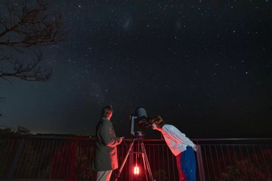 ジャービスベイ 星空観察体験