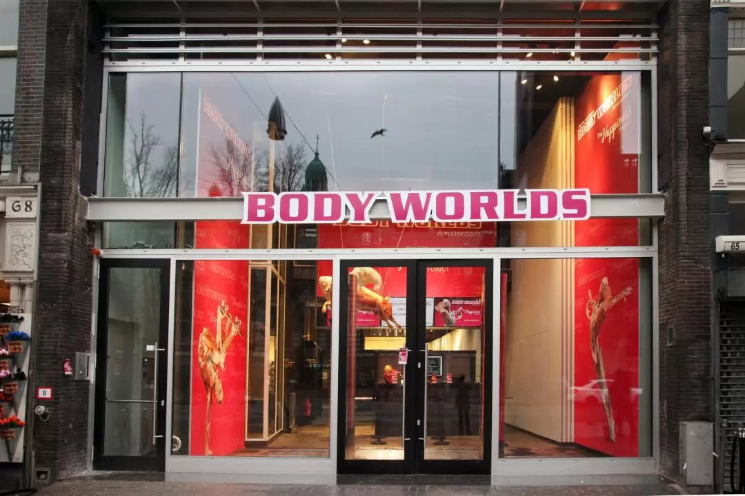 Amsterdam Body Worlds