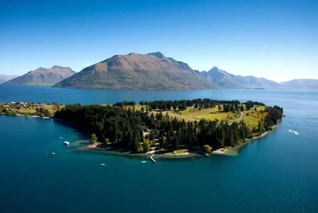 Scenic Flights Experience in Queenstown