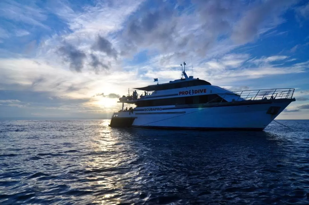 5 Day PADI Learn to Dive in Cairns