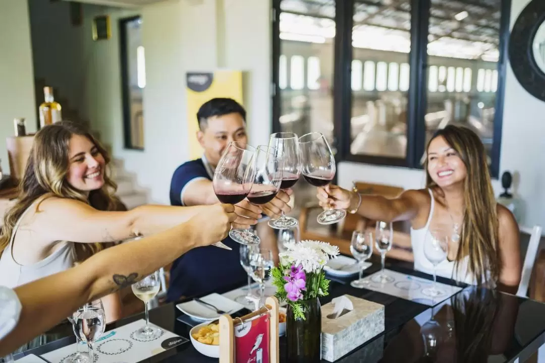 Sababay Winery Tour with Wine Tasting in Bali