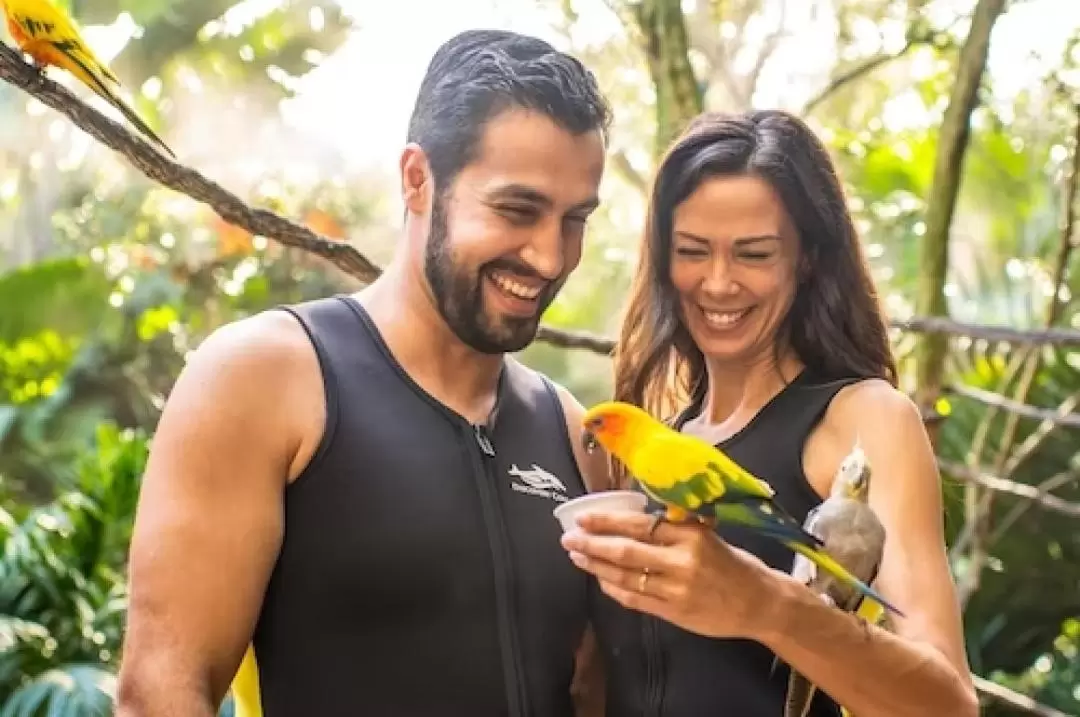 奧蘭多 Discovery Cove 主題樂園門票（含海豚共游體驗）