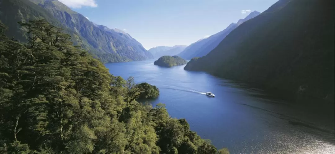 Doubtful Sound Wilderness Cruise Half Day Tour