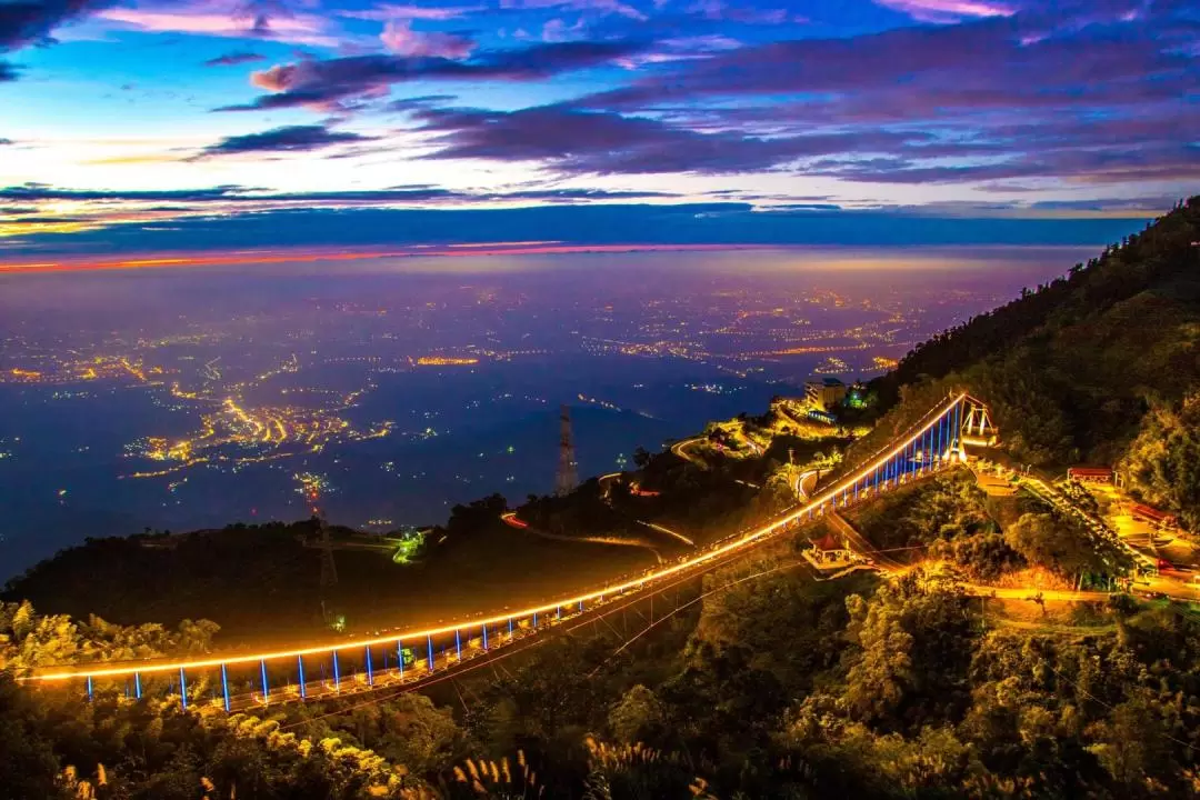 Chiayi Taiping Suspension Bridge Ticket 