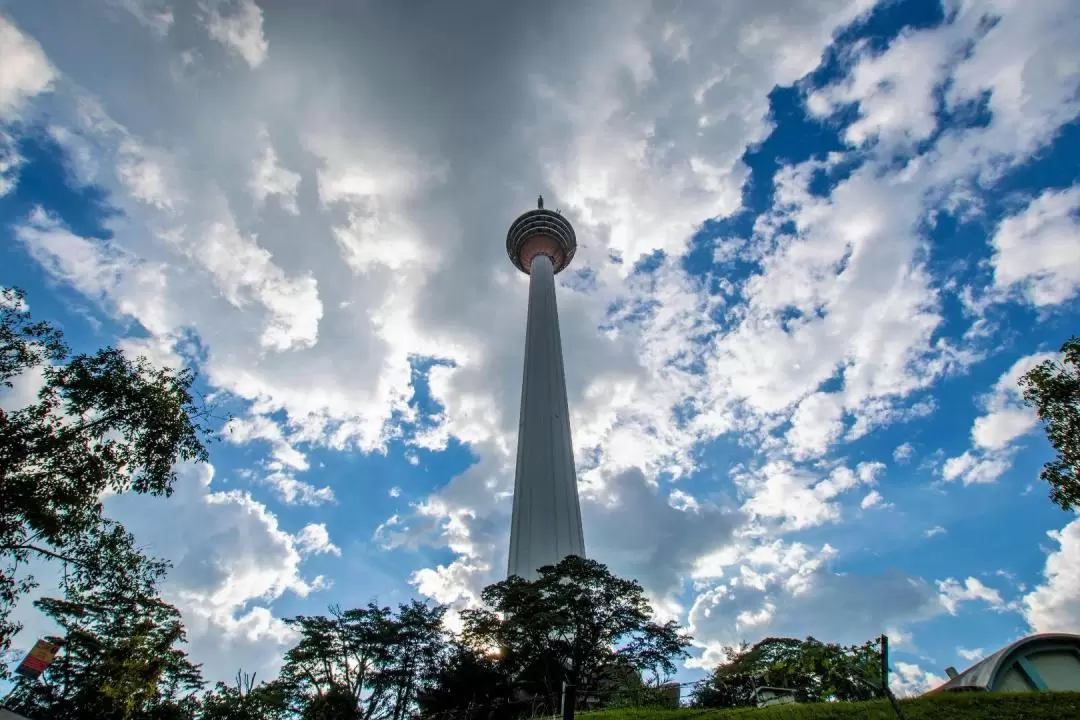 Kuala Lumpur Evening Tour with KL Tower Entry and Water Fountain Show