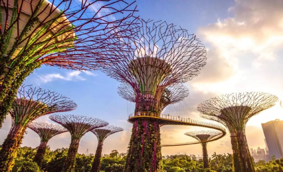 Singapore Private City Tour by Vimo Services