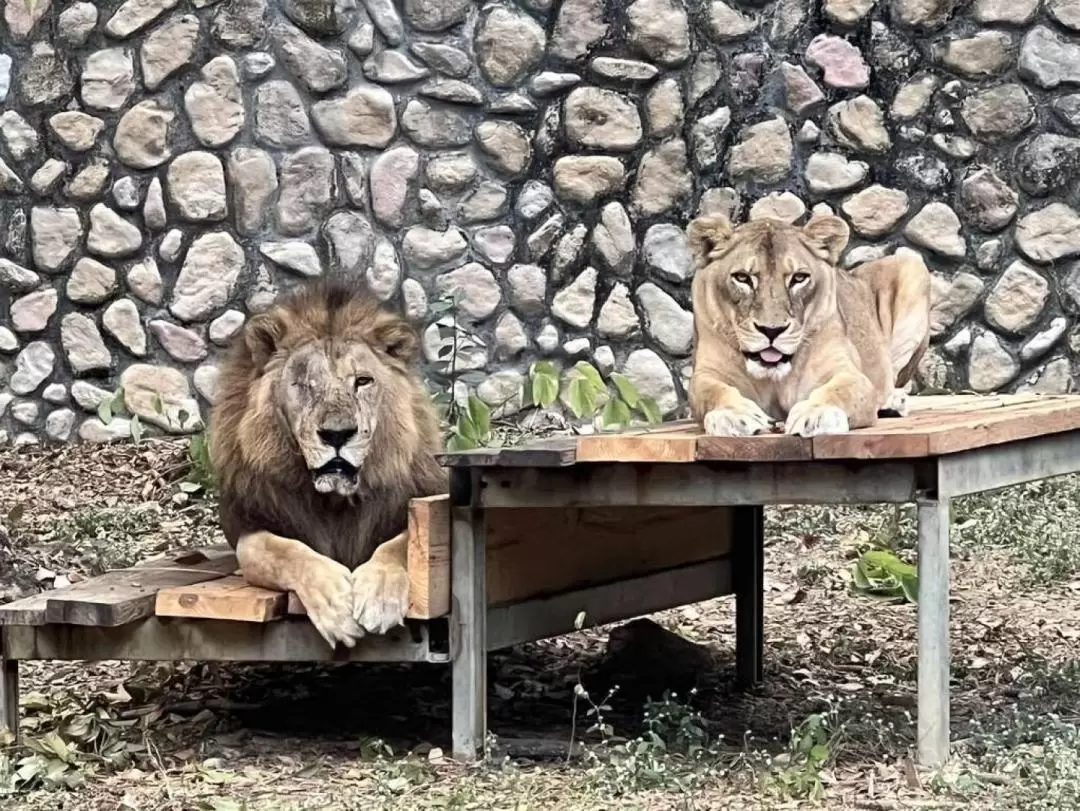 寿山動物園 入園チケット（高雄）