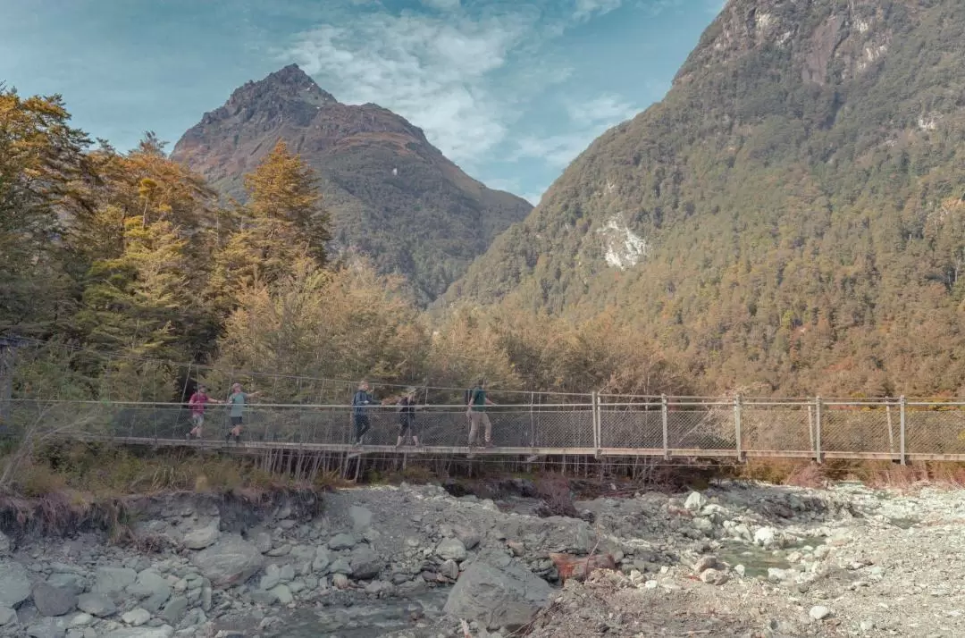 Routeburn Guided Walking Tour from Queenstown 